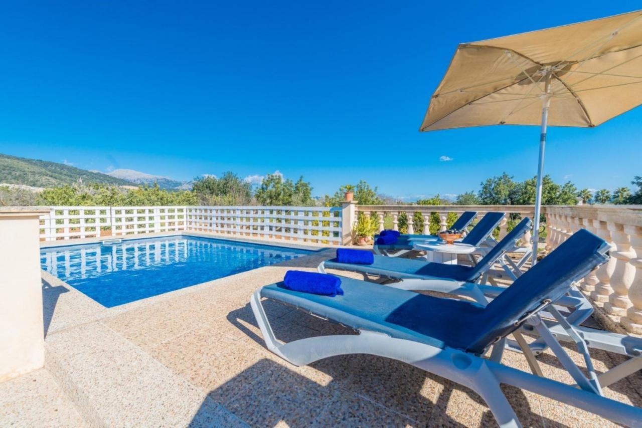 Yourhouse Lemontree - Antic